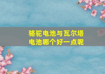 骆驼电池与瓦尔塔电池哪个好一点呢