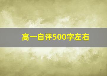 高一自评500字左右