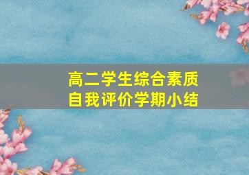 高二学生综合素质自我评价学期小结