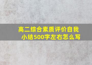 高二综合素质评价自我小结500字左右怎么写