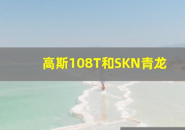 高斯108T和SKN青龙