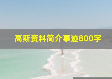 高斯资料简介事迹800字