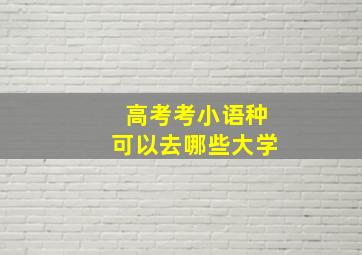 高考考小语种可以去哪些大学