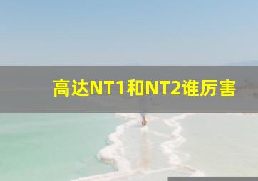 高达NT1和NT2谁厉害