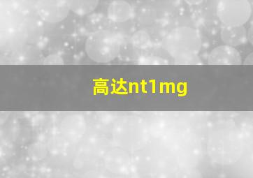 高达nt1mg