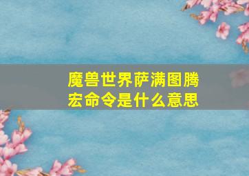 魔兽世界萨满图腾宏命令是什么意思