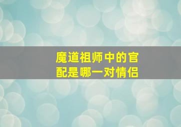 魔道祖师中的官配是哪一对情侣