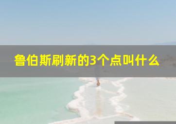 鲁伯斯刷新的3个点叫什么