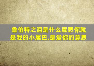 鲁伯特之泪是什么意思你就是我的小属巴,是爱你的意思