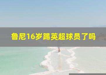 鲁尼16岁踢英超球员了吗