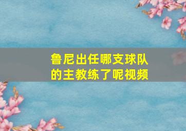 鲁尼出任哪支球队的主教练了呢视频