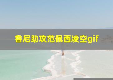 鲁尼助攻范佩西凌空gif