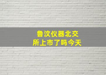 鲁汶仪器北交所上市了吗今天