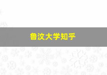 鲁汶大学知乎