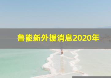 鲁能新外援消息2020年