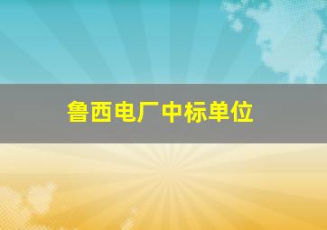 鲁西电厂中标单位