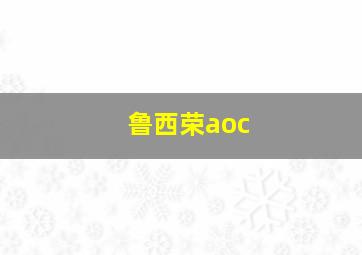 鲁西荣aoc