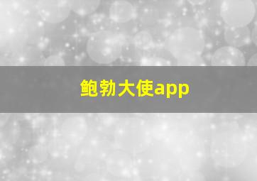 鲍勃大使app