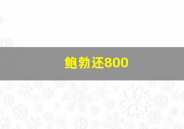 鲍勃还800