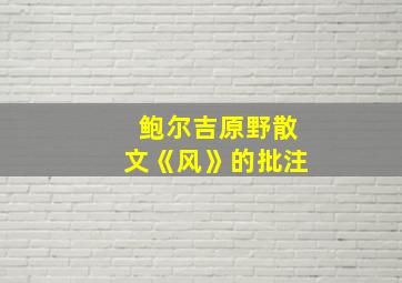 鲍尔吉原野散文《风》的批注