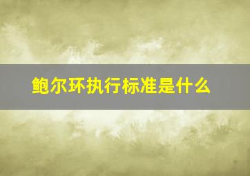 鲍尔环执行标准是什么