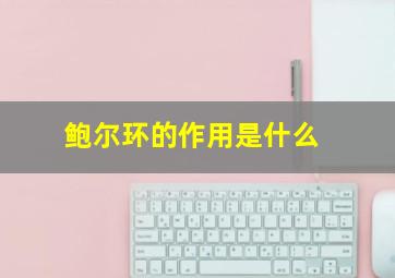 鲍尔环的作用是什么