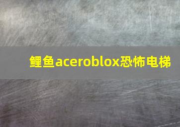 鲤鱼aceroblox恐怖电梯