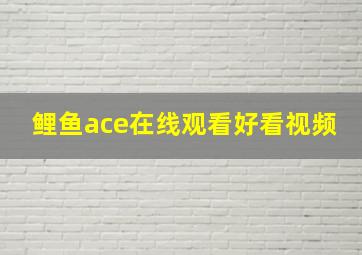 鲤鱼ace在线观看好看视频