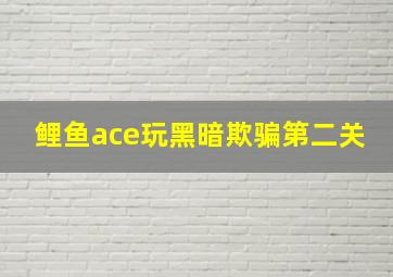 鲤鱼ace玩黑暗欺骗第二关