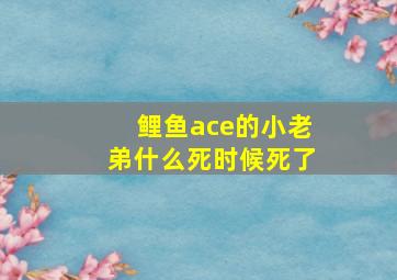 鲤鱼ace的小老弟什么死时候死了