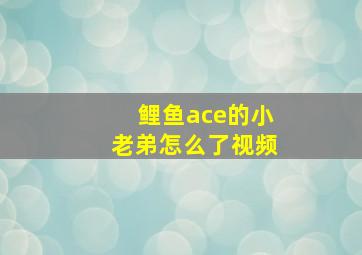 鲤鱼ace的小老弟怎么了视频