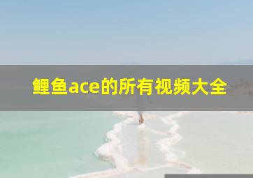 鲤鱼ace的所有视频大全