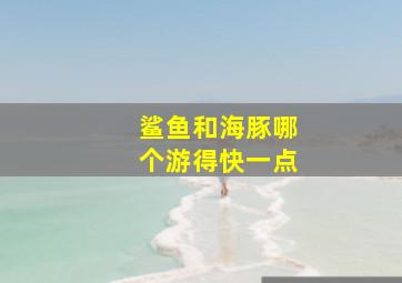 鲨鱼和海豚哪个游得快一点