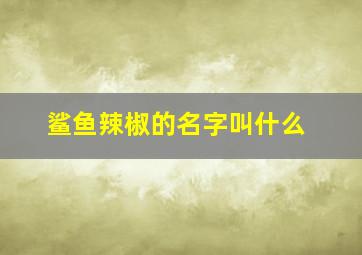 鲨鱼辣椒的名字叫什么