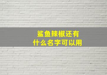 鲨鱼辣椒还有什么名字可以用