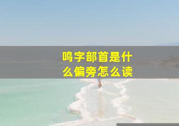 鸣字部首是什么偏旁怎么读