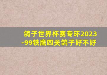 鸽子世界杯赛专环2023-99铁鹰四关鸽子好不好