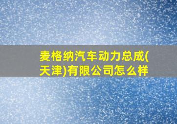 麦格纳汽车动力总成(天津)有限公司怎么样