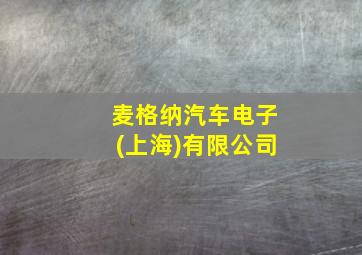 麦格纳汽车电子(上海)有限公司