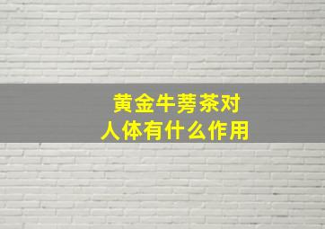 黄金牛蒡茶对人体有什么作用