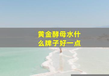 黄金酵母水什么牌子好一点