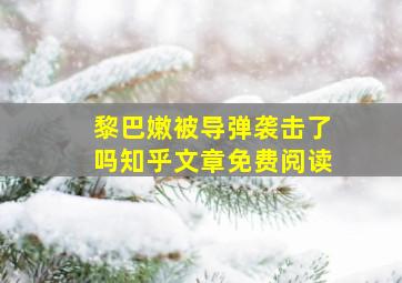 黎巴嫩被导弹袭击了吗知乎文章免费阅读