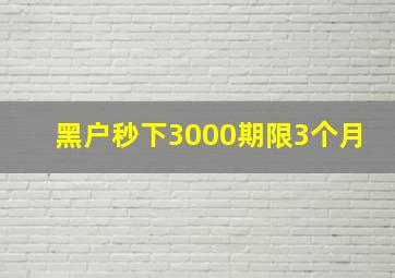 黑户秒下3000期限3个月