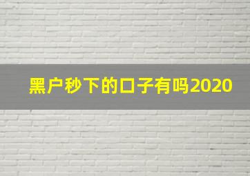 黑户秒下的口子有吗2020