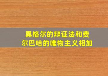 黑格尔的辩证法和费尔巴哈的唯物主义相加