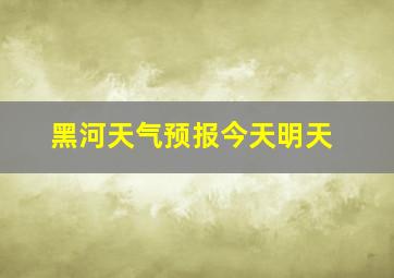 黑河天气预报今天明天