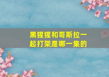 黑猩猩和哥斯拉一起打架是哪一集的