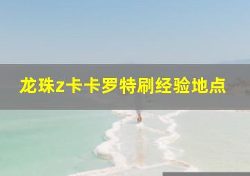 龙珠z卡卡罗特刷经验地点