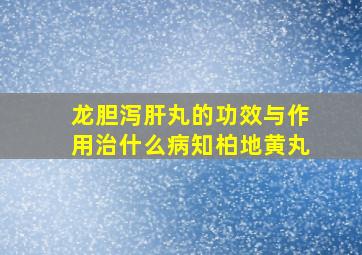 龙胆泻肝丸的功效与作用治什么病知柏地黄丸