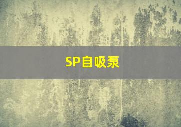 SP自吸泵